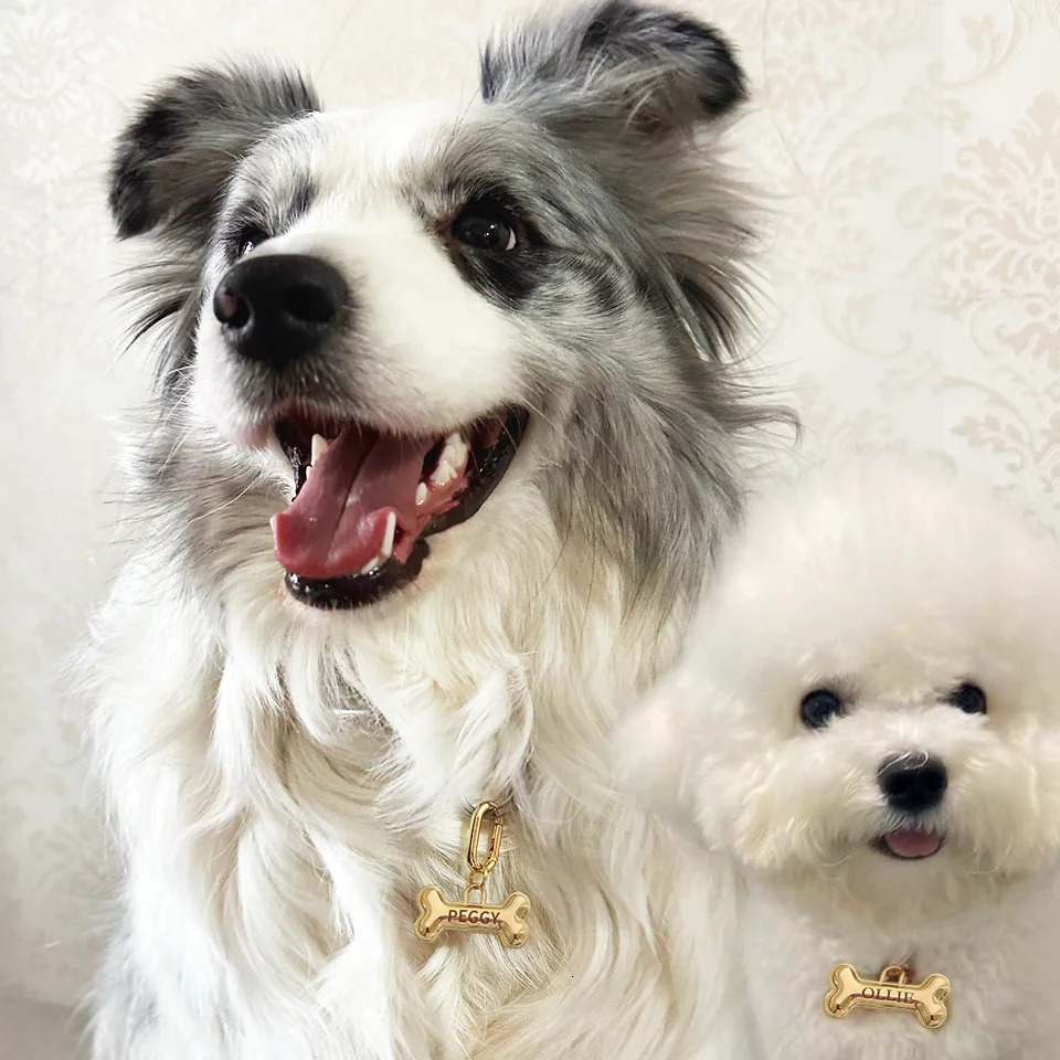 Memopaw Personalized Pet Dog Name Tag Copper Free Engraving Anti-lost Collars Tag for Dogs Cats Nameplate 250207
