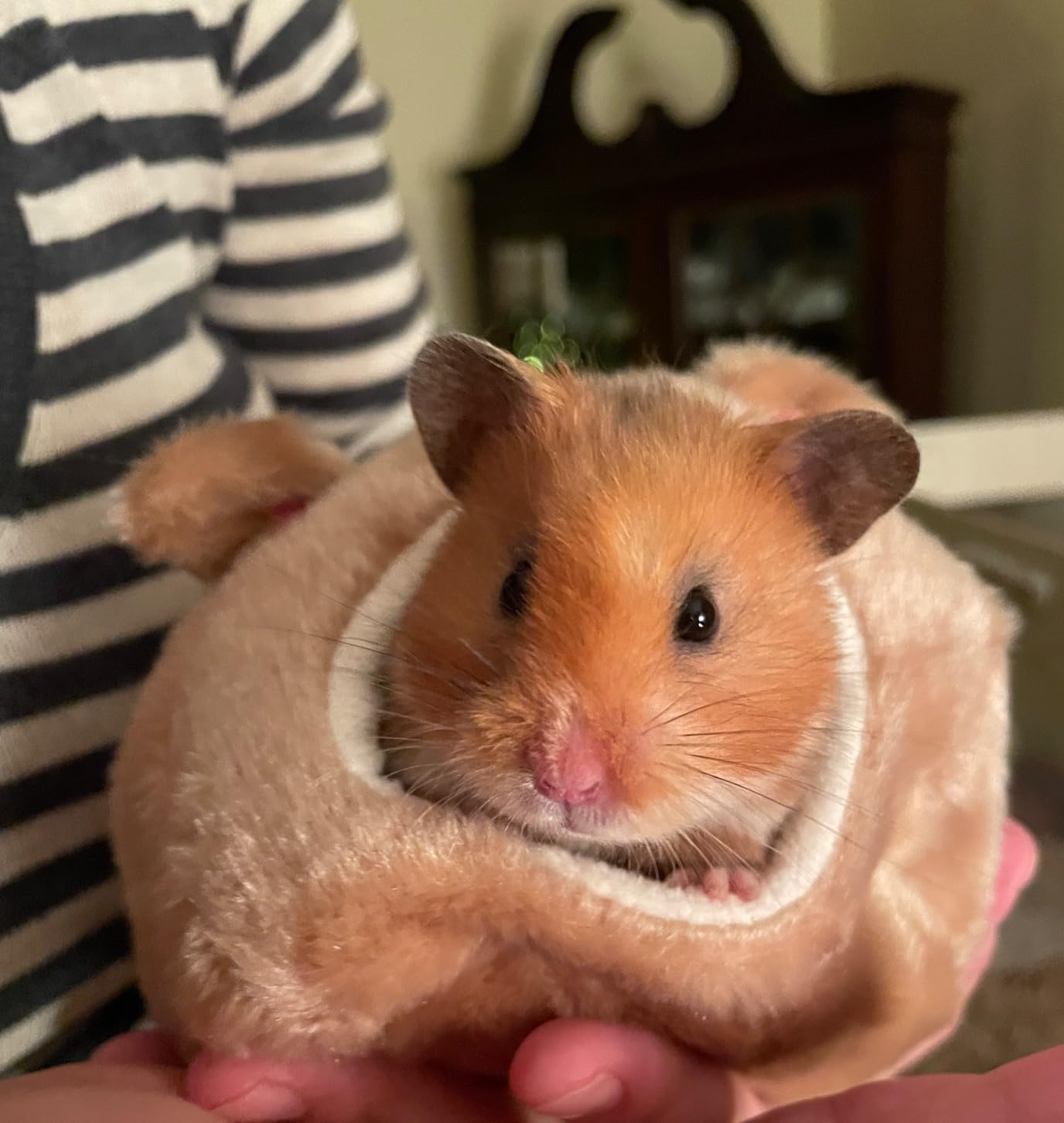 1PC Rat Hamster Warm Bed House Cusion Fleece Hut Hanging Hammock Cute Toy Nest for Mini Small Animal Mice,Sugar Glider,Chinchilla,Dwarf Hamster