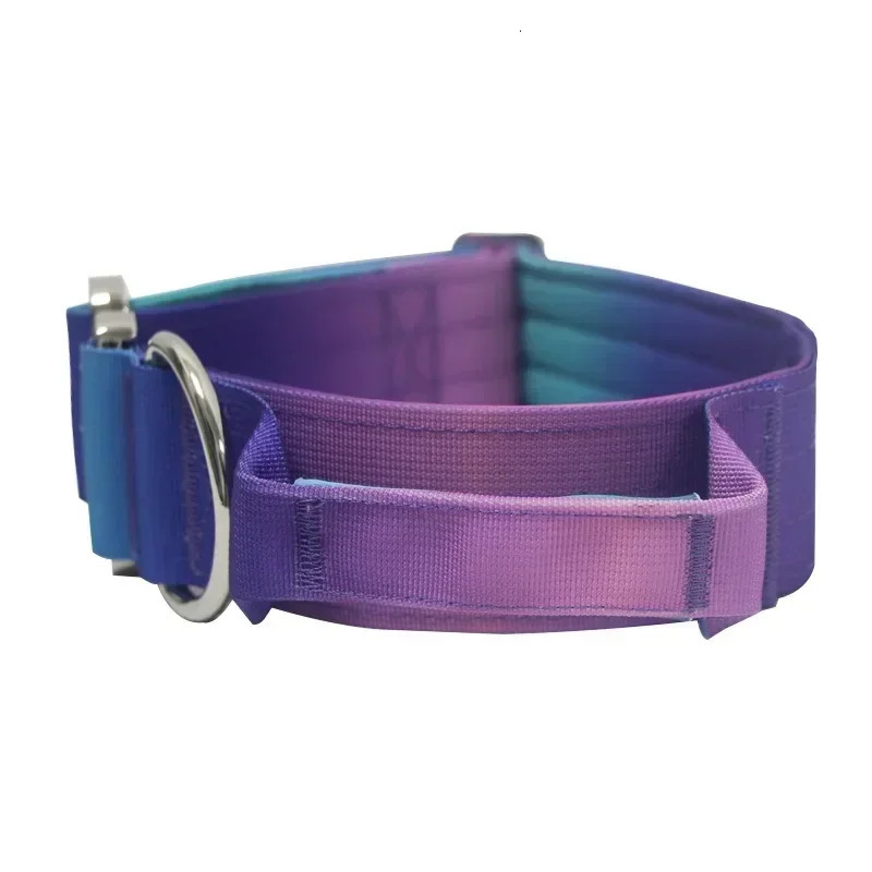 5mm Wide Pet Collar Gradual Change Color Traction Set Adjustable Nylon Dog Collar Supplies Medium and Large Dog Accessories 250213