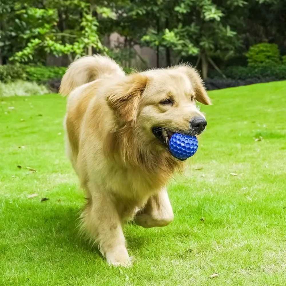 New Dog Toys Bite Resistant Interactive Throwing Sound Honeycomb Balls Natural Rubber Teething Clean Teeth Toys Pet Products Y250705