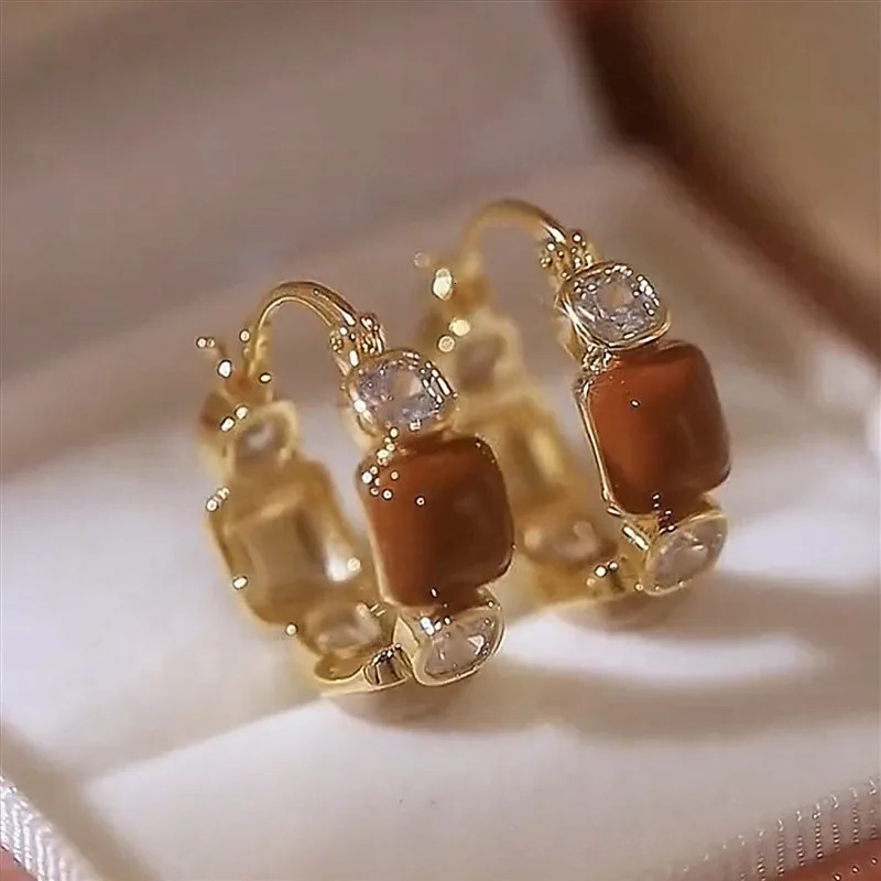 Exquisite Brown Zircon Unique n Womens Earrings Fashion Personalization Daily Accessories Party Jewelry Birthday Gifts 250210