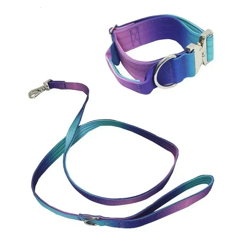 5mm Wide Pet Collar Gradual Change Color Traction Set Adjustable Nylon Dog Collar Supplies Medium and Large Dog Accessories 250213
