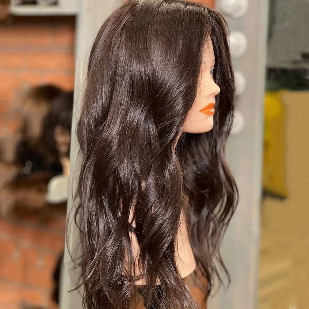 Natural brown Transparent HD full lace wig natural wavy lace frontal wig perruqe 100%human raw virgin cuticle aligned premium hair