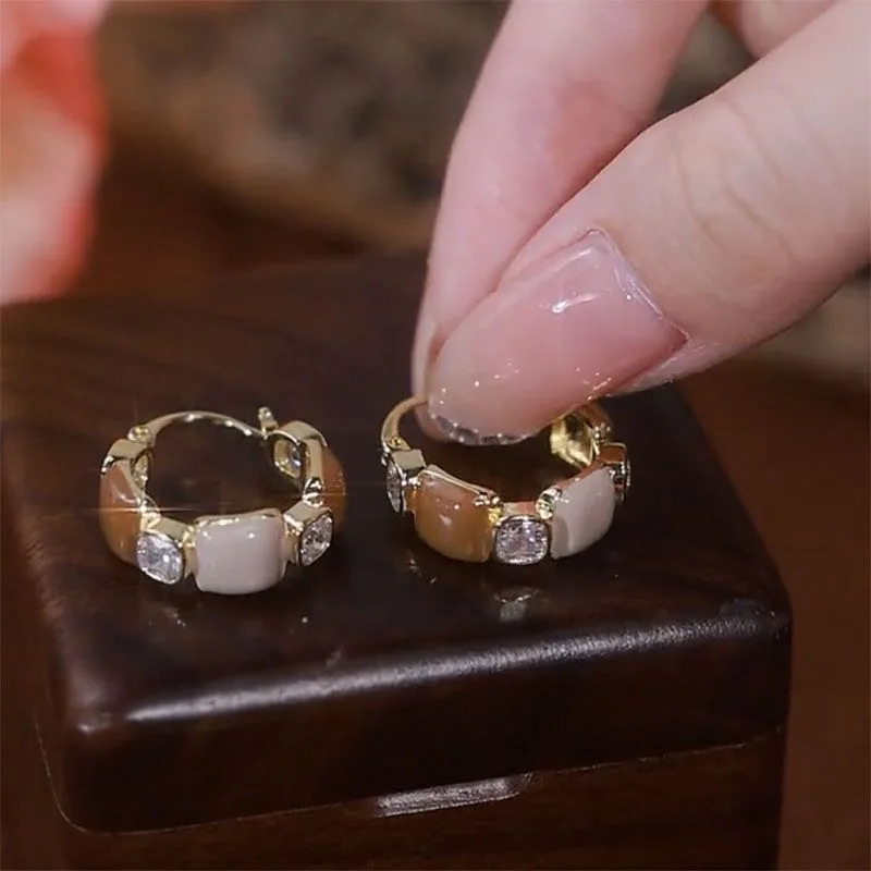 Exquisite Brown Zircon Unique n Womens Earrings Fashion Personalization Daily Accessories Party Jewelry Birthday Gifts 250210