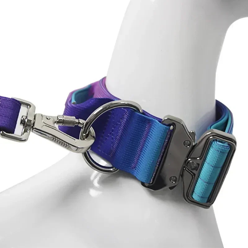 5mm Wide Pet Collar Gradual Change Color Traction Set Adjustable Nylon Dog Collar Supplies Medium and Large Dog Accessories 250213