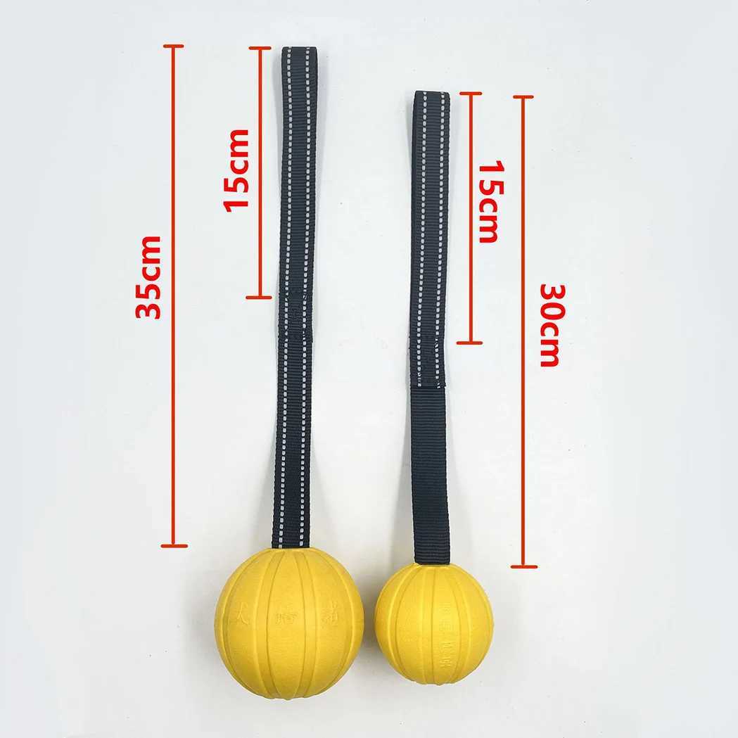 Dog Toy Balls On A Rope For Small Medium Large Dogs Chewers Durable Interactive Ball For Training Dogs Eva Foam Ball Floats Y250705
