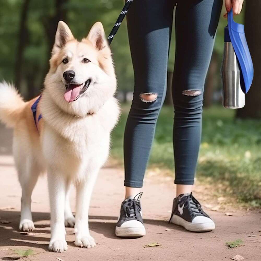 DHPET Ultimate Pet Supplies Hot Sale Pet Toys Pet Bowls Leash Poog Bags Cat and Dog Comprehensive Daily Care for Your Furry Friends Must-Have for Easy
