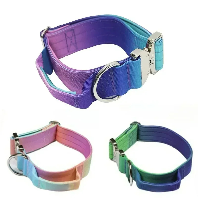 5mm Wide Pet Collar Gradual Change Color Traction Set Adjustable Nylon Dog Collar Supplies Medium and Large Dog Accessories 250213