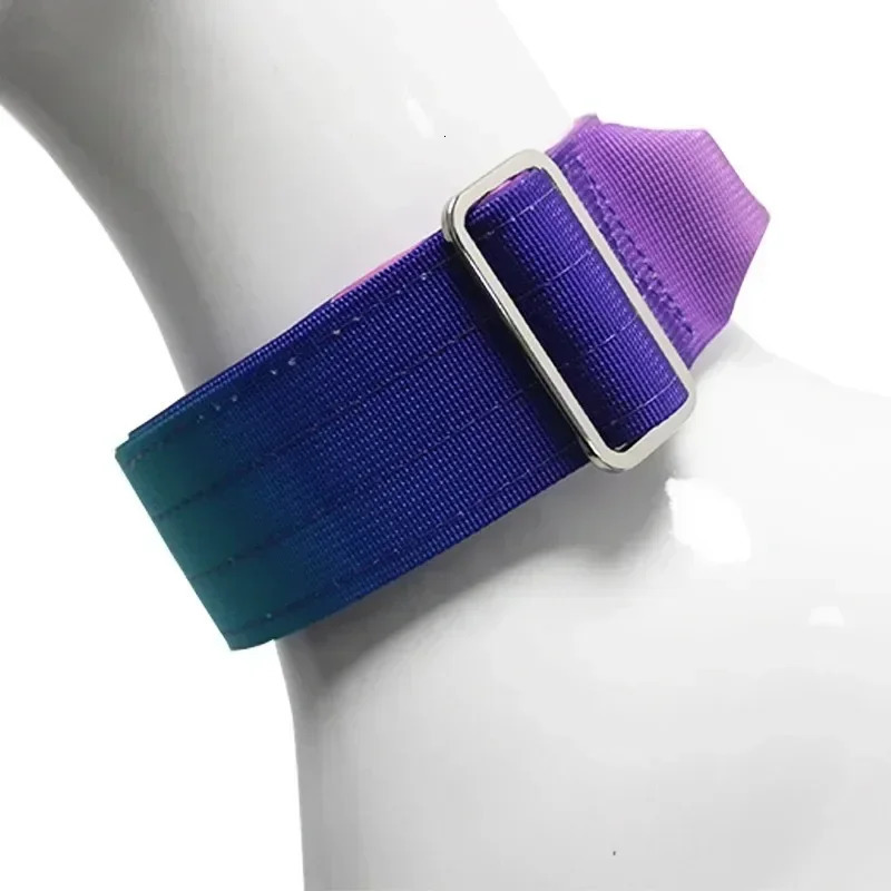 5mm Wide Pet Collar Gradual Change Color Traction Set Adjustable Nylon Dog Collar Supplies Medium and Large Dog Accessories 250213