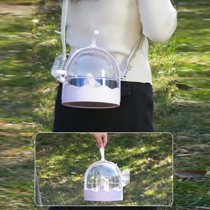 Portable Clear Bird Carry Case Transport Cage Parrots Travel Outdoor Safe Door Lock Small Pet Accessories Breathable Bag 250206