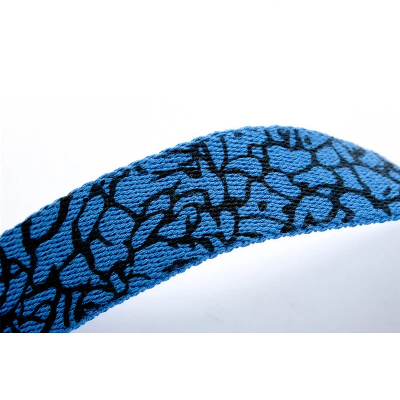 Fashion Pop Print Street Dance Graffiti Casual Mens and Womens Clothes Couple Canvas Belt 250114