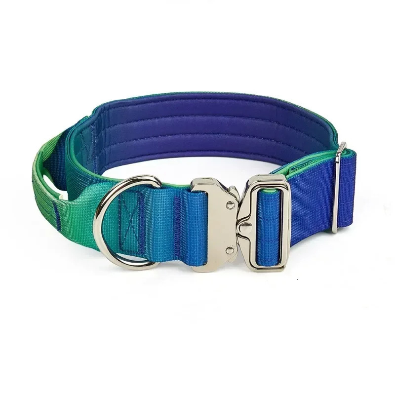 5mm Wide Pet Collar Gradual Change Color Traction Set Adjustable Nylon Dog Collar Supplies Medium and Large Dog Accessories 250213