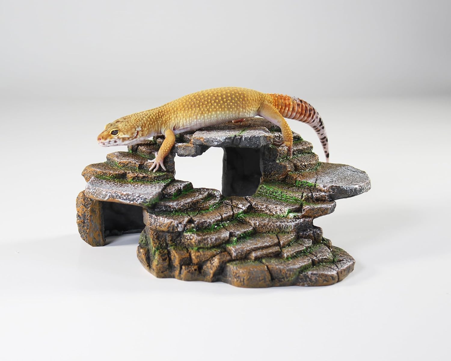 Decorative Penn-Plax Reptology Ledge and Cave Hideout - Ideal for Aquariums and Terrariums