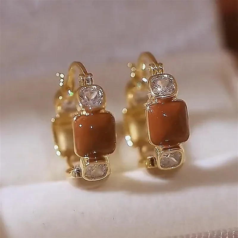 Exquisite Brown Zircon Unique n Womens Earrings Fashion Personalization Daily Accessories Party Jewelry Birthday Gifts 250210