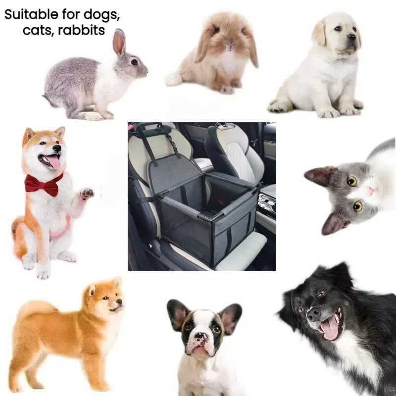 Dog Car Seat Covers Seats Pet Puppy Portable Booster with Safety Leash and Stable Frame Breathable Foldable H250211