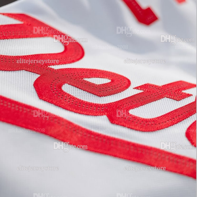 Personalized Custom Hockey Jersey Raymond 2025 Stadium Series Kane Veleno DeBrincat Seider Talbot Kasper Embroidered Letter Number Design Polyester