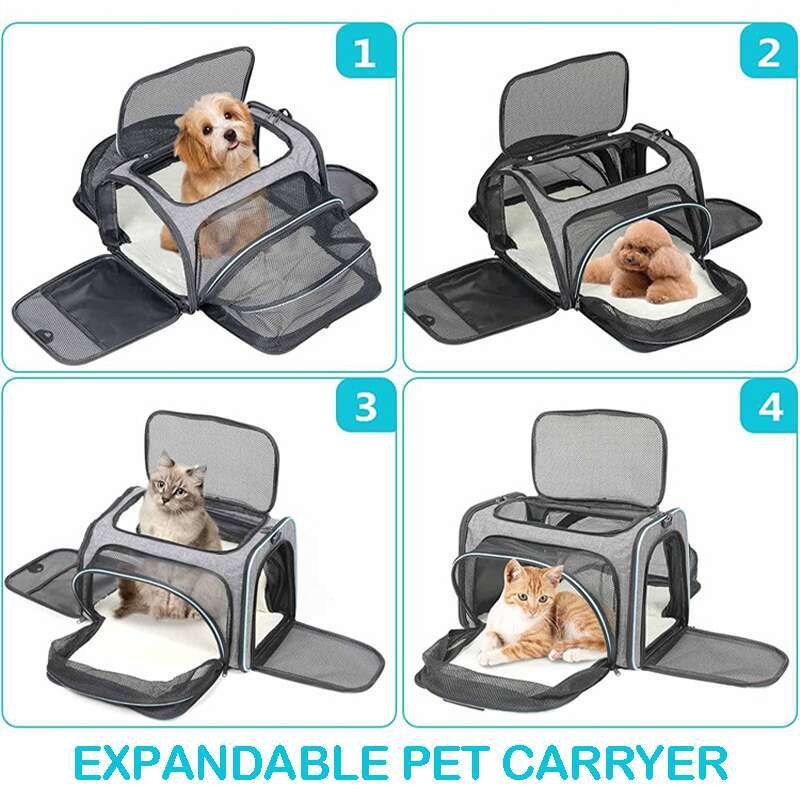 Dhpet Pet Backpack Outing Portable Hand-held Large Capacity Two Small