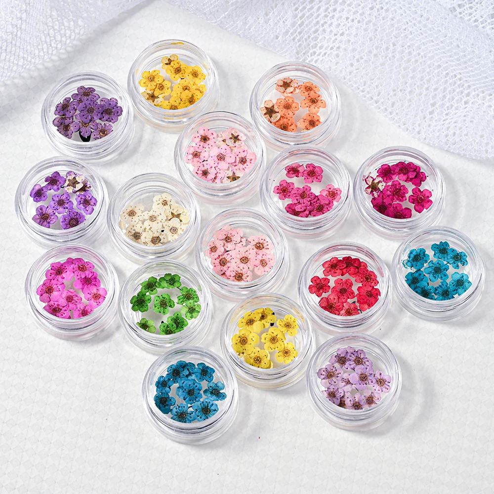 160Pcs/Set Mixed dried flowers nail art charms 16Box Colorful Mini Real Natural Dry Flowers Resin Craft Professional Nail Floral 250214