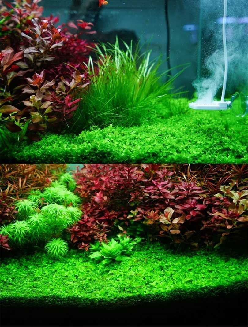 Chihiros RGB VIVID II 10th Anniversary Edition Professional Aquatic Lamp Aquarium LED Light Z250214