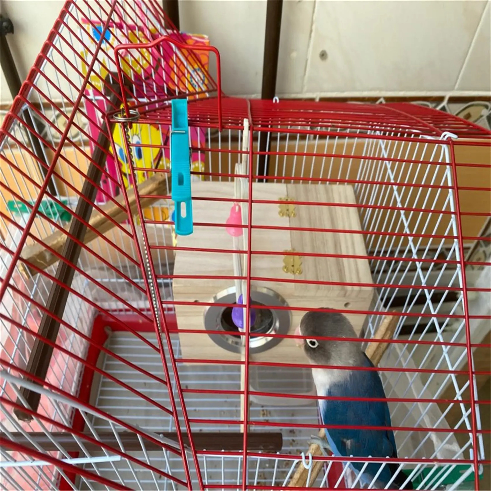 Pet Bird Swing Parrot Breeding Box Birdhouse Bridge Ladder Pet Supplie 250206