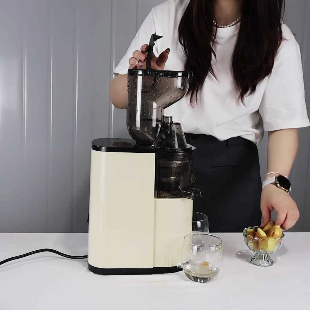 Juice residue separation juicer home automatic fruit and vegetable multi-functional juicer small soy milk machine juice electromechanical action CL250