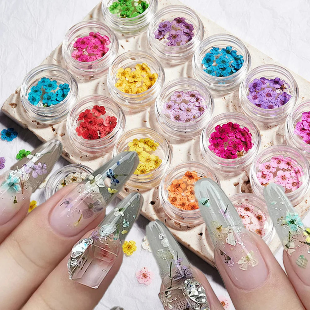 160Pcs/Set Mixed dried flowers nail art charms 16Box Colorful Mini Real Natural Dry Flowers Resin Craft Professional Nail Floral 250214