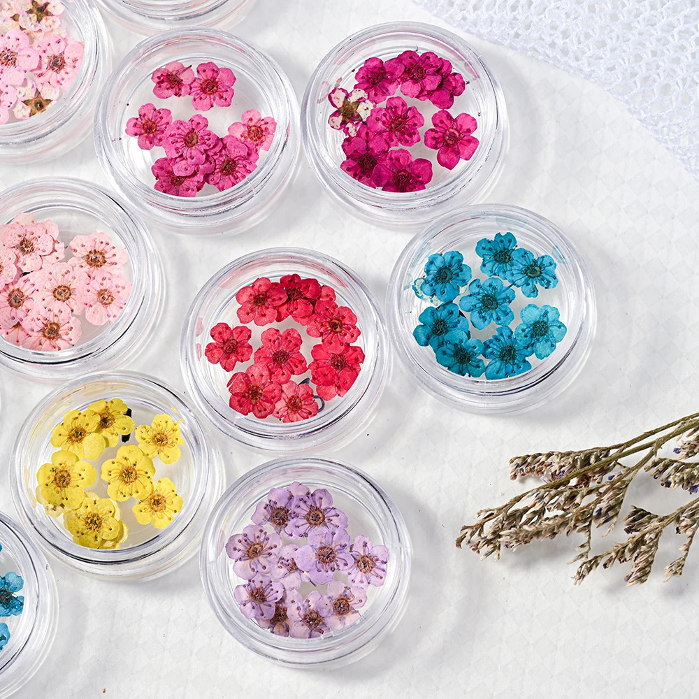 160Pcs/Set Mixed dried flowers nail art charms 16Box Colorful Mini Real Natural Dry Flowers Resin Craft Professional Nail Floral 250214