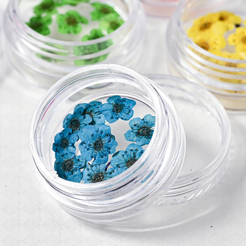 160Pcs/Set Mixed dried flowers nail art charms 16Box Colorful Mini Real Natural Dry Flowers Resin Craft Professional Nail Floral 250214
