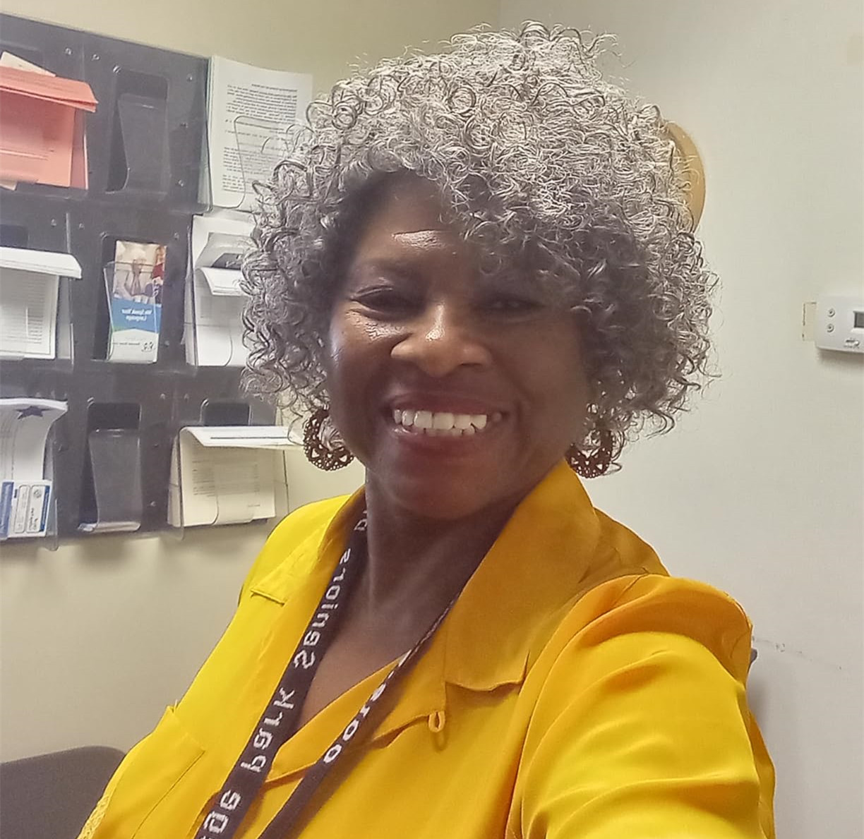 Grey Glueless Human Hair Wigs for Black Women Grey Short Curly Wigs Human Hair Mixed Kinky Curly Wear and Go None lace Wig