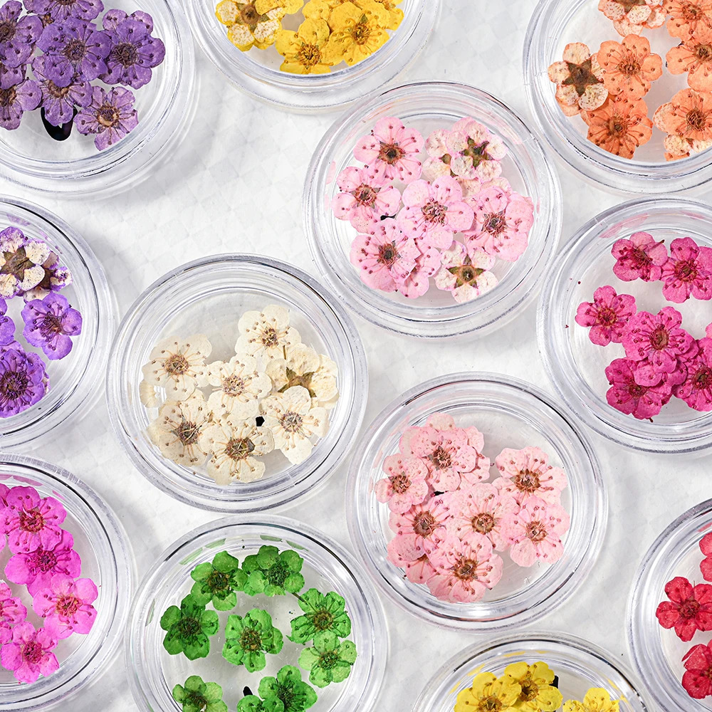 160Pcs/Set Mixed dried flowers nail art charms 16Box Colorful Mini Real Natural Dry Flowers Resin Craft Professional Nail Floral 250214