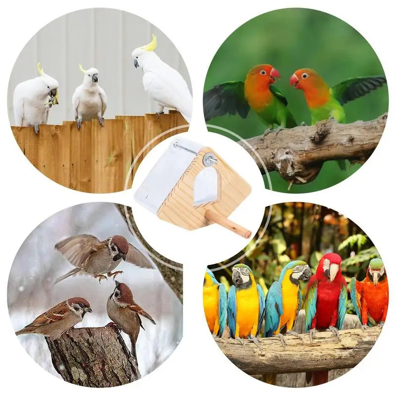 Parakeet Nesting Box Wood Bird Cage House Easy To Clean Transparent Bird Nesting Box For Budgie Bird Breeding Box 250206