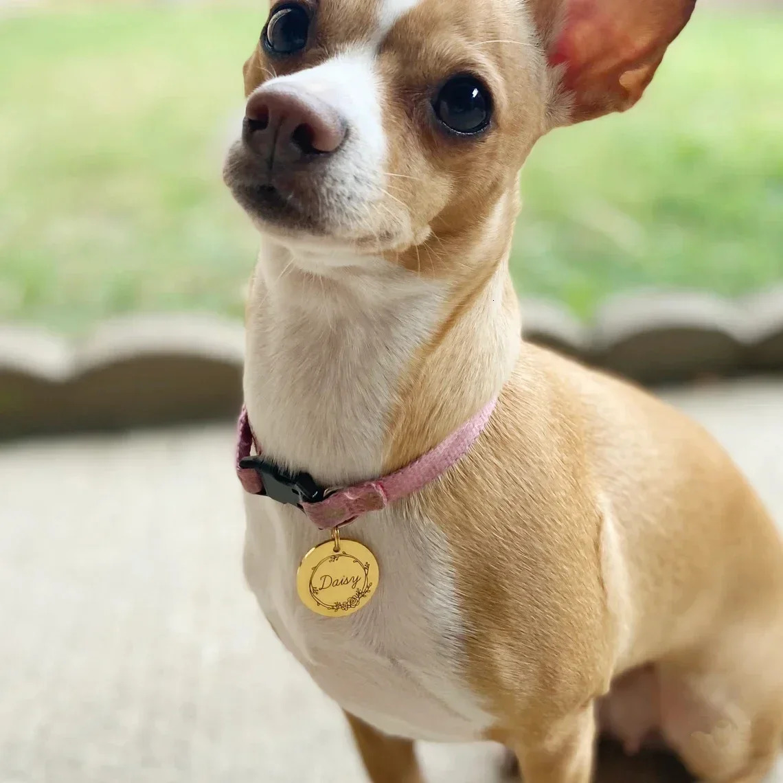 Custom Engraved Name Date Round Coin Stainless Steel Personalized ID Tag Accessory Jewelry Pendant Fit for Bracelet Necklace 250210