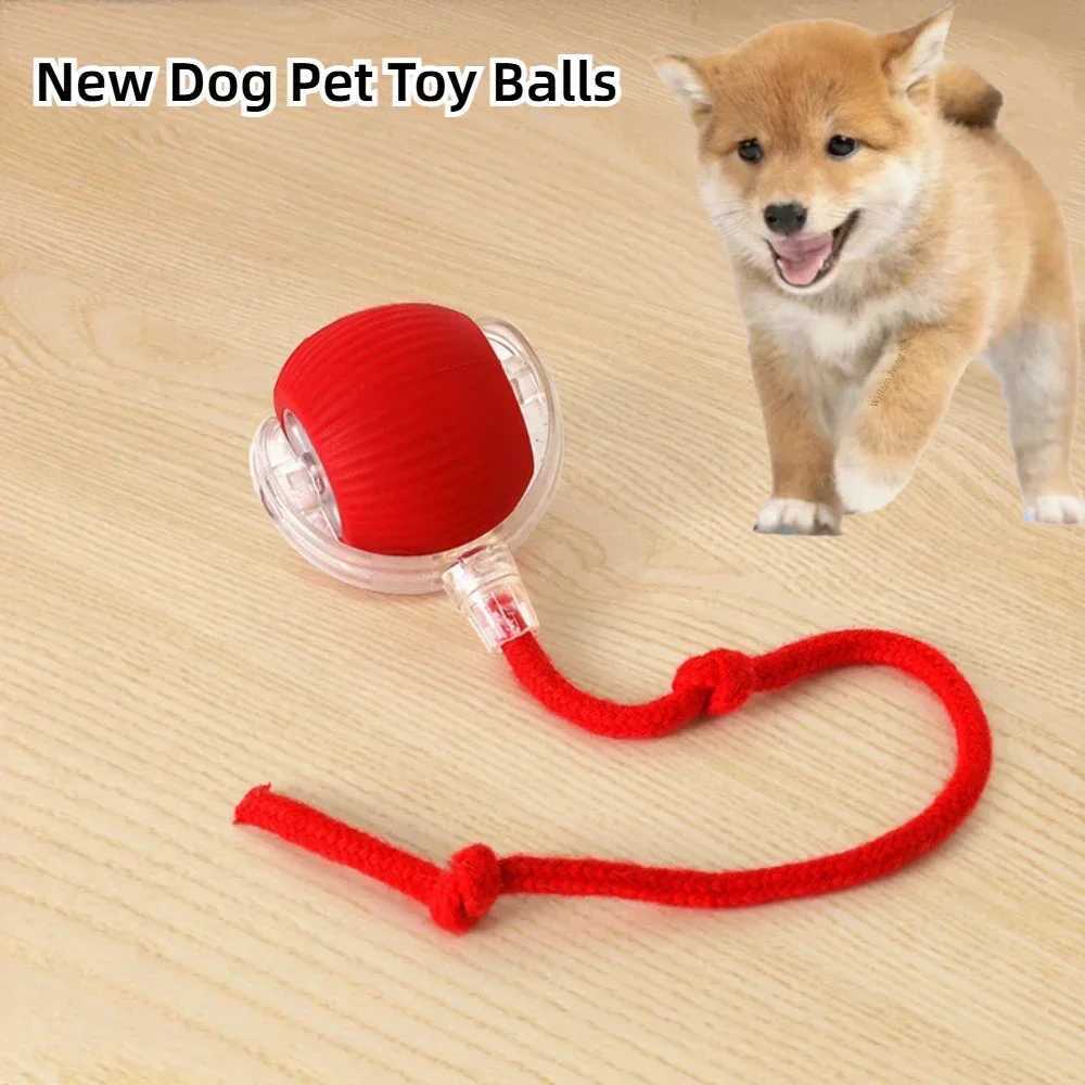 Interactive Dog Toys Rechargeable Pet Interactive Toys Electric Cats Ball Automatic Rolling Fake Tail Ball Dog Cats Toy Y250705