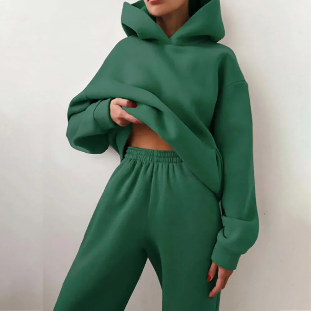 Women Tracksuit Set Solid Long Sleeve Sport Suits Autumn Winter Warm Hooded Sweatshirts And Jogger Pants Two Piece Set 250210