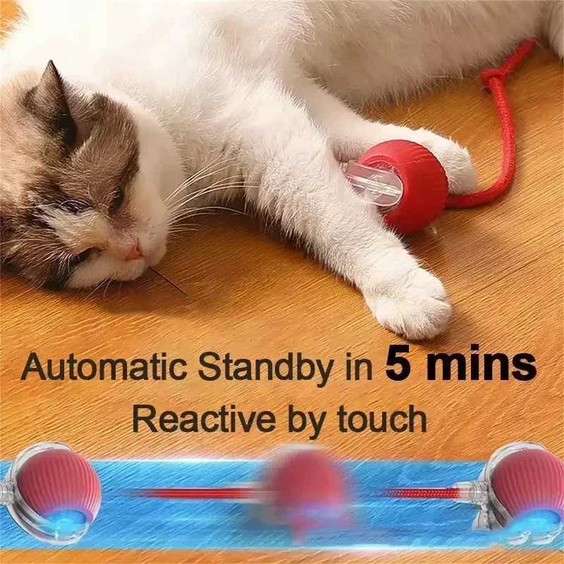 Interactive Dog Toys Rechargeable Pet Interactive Toys Electric Cats Ball Automatic Rolling Fake Tail Ball Dog Cats Toy Y250705