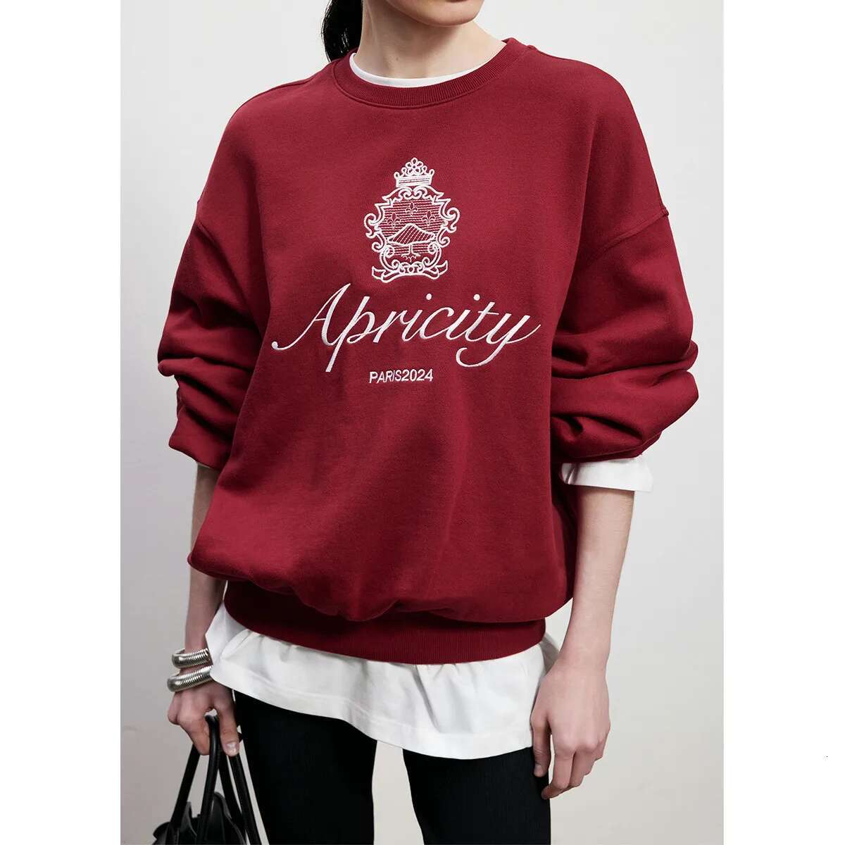 American Retro Style Embroidered Crewneck Pullover 2024 Autumn New Cotton Thick Warm Sweatshirts Women Street Fashion Jumpers