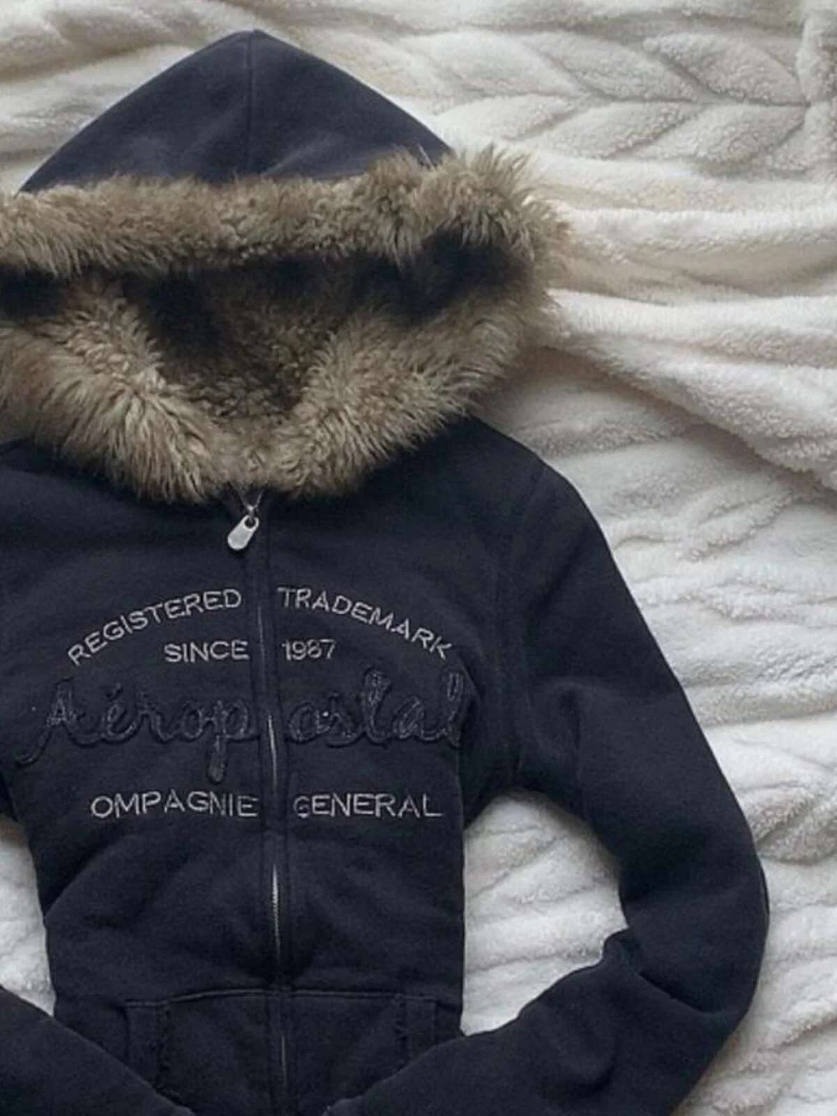 Y2K Retro Haruku Letter Embroidery Plush Dark Zipper Hooded Sweatshirt for Women's Autumn and Winter 2000s Fashion Jacket