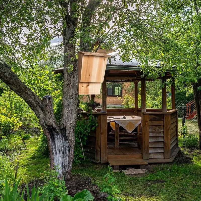 Outside Bat Habitat House Wooden Bat Shelter Outside Bat Habitat House Wooden Decor Wooden Bat Box Shelter Nest 250206