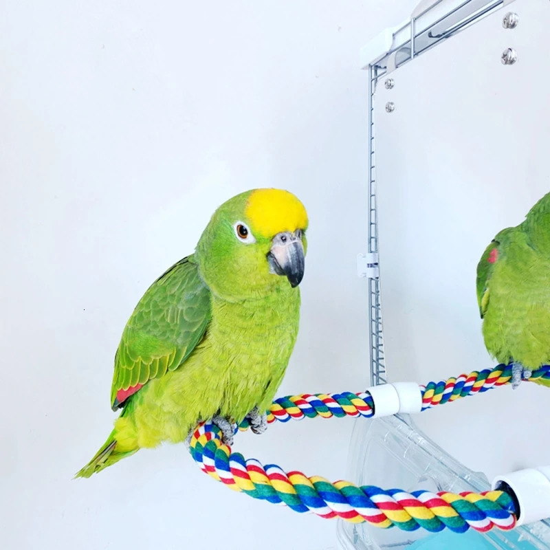 Parrot Toy Acrylic Bird Mirror with Rope Perches Toys Bird Swing Comfy Perch for Parakeet Cockatiel Conure Lovebirds Canaries 250206