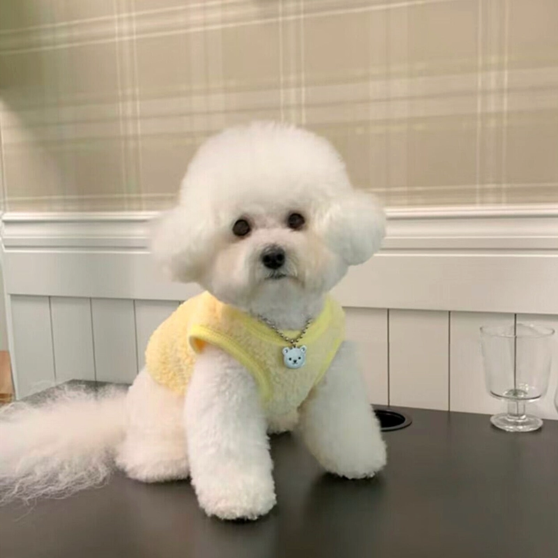Dog clothes, small puppies, autumn and winter new style, cold resistant fluff