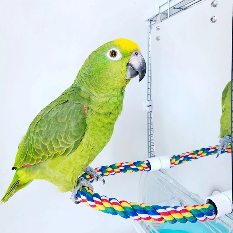 Parrot Toy Acrylic Bird Mirror with Rope Perches Toys Bird Swing Comfy Perch for Parakeet Cockatiel Conure Lovebirds Canaries 250206