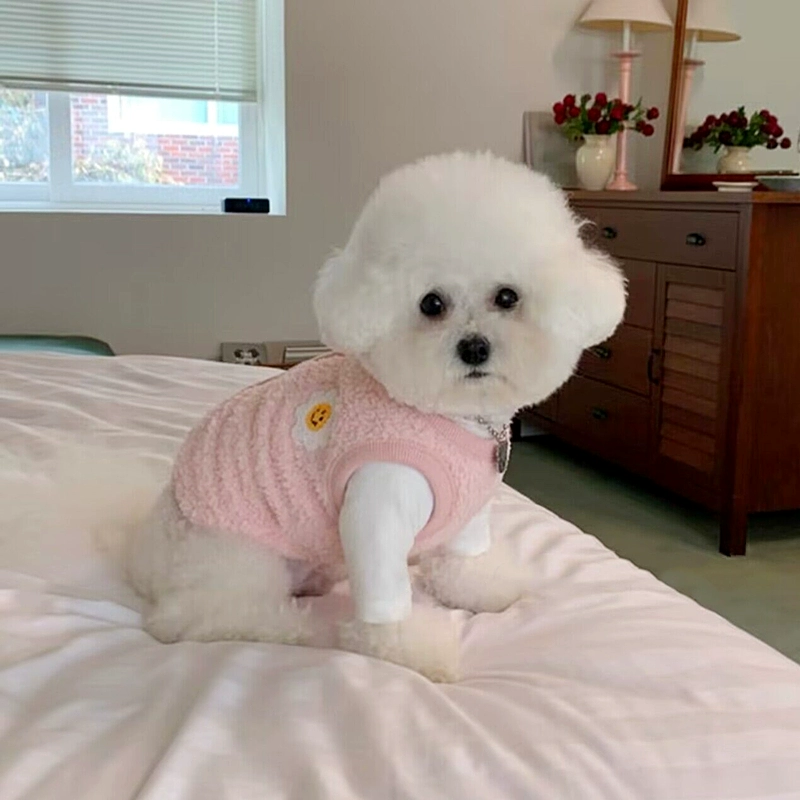 Dog clothes, small puppies, autumn and winter new style, cold resistant fluff