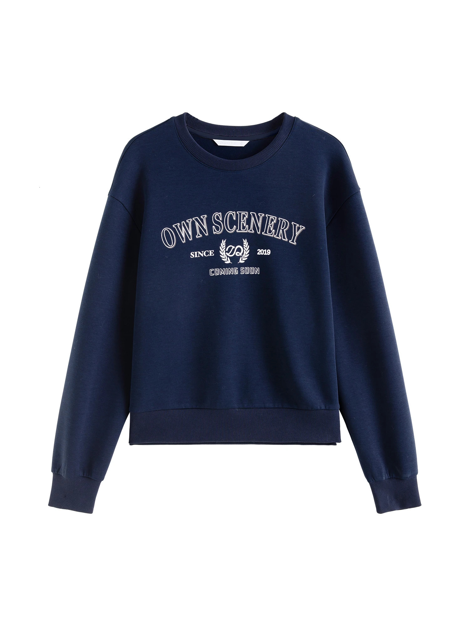 ZIQIAO Women Sweatshirts Letter Print Retro Casual Female Grey Pullover Sweatshirt Drop Sleeve Navy Blue Winter Tops 24ZQ94295 250213