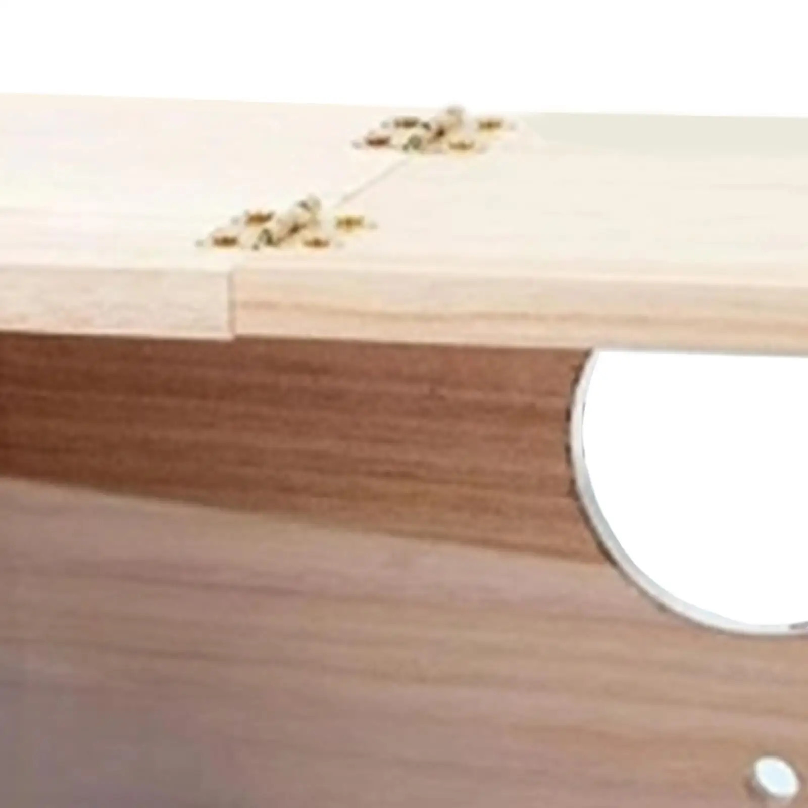 Parakeet Nesting Box Parakeet Breeding Nest Box Decorative Bird Nest Box Mating 250206