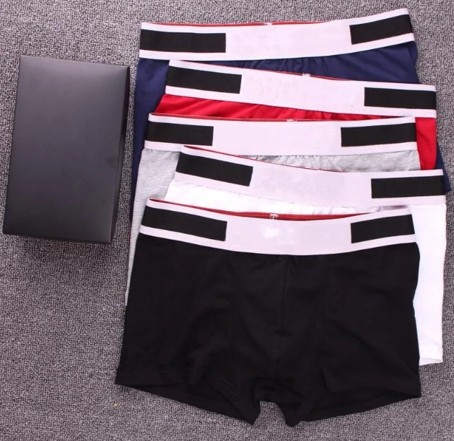 3pcs/lot Mens Underwear Underpants Boxer Organic Cotton Shorts Modal Sexy Gay Male Boxers Breathable New Mesh Man Underwear Size M-XXL 5A