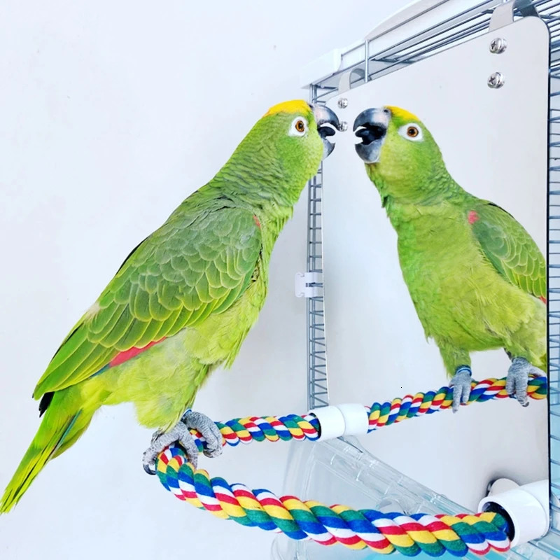 Parrot Toy Acrylic Bird Mirror with Rope Perches Toys Bird Swing Comfy Perch for Parakeet Cockatiel Conure Lovebirds Canaries 250206