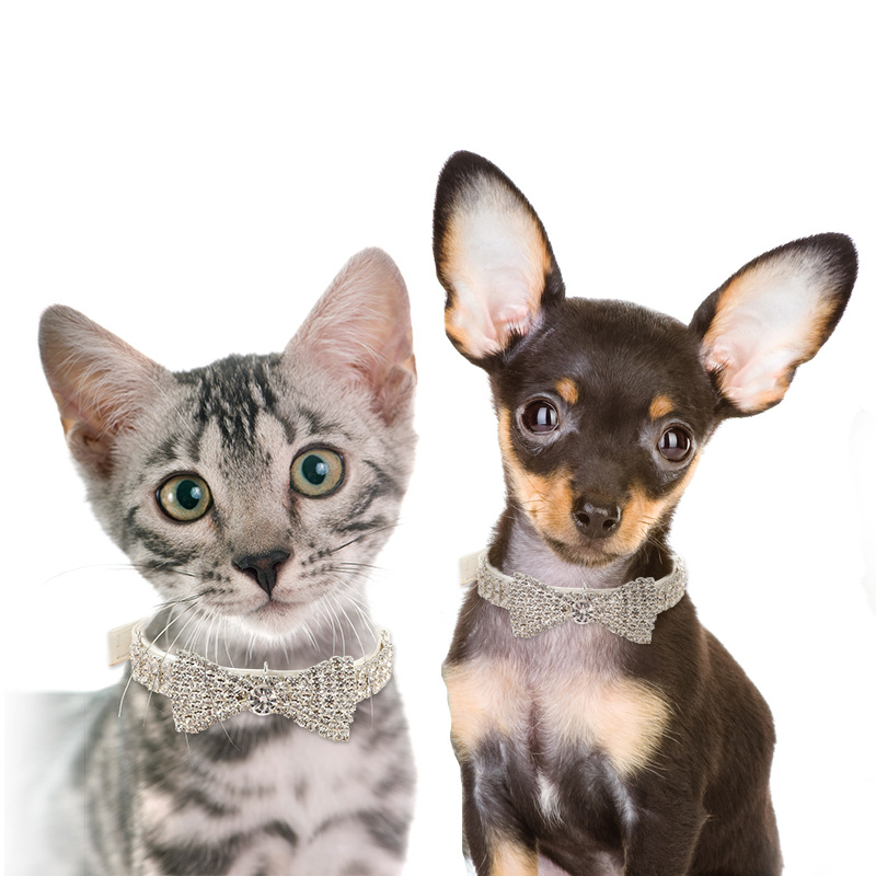 Dog Collar with Bow Shaped Rhinestone, Leather Collar Necklace for Cats Dogs, Dog Princess Beautiful Neck Decoration, Adjustable Pet Collars for Cat S