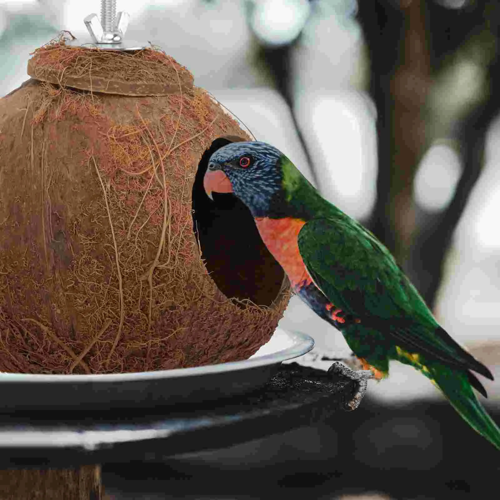 Bird Cage Coconut Shell Nest Birds House Toy Biting Small Parrot Plaything Pet Sleeping Natural 250206