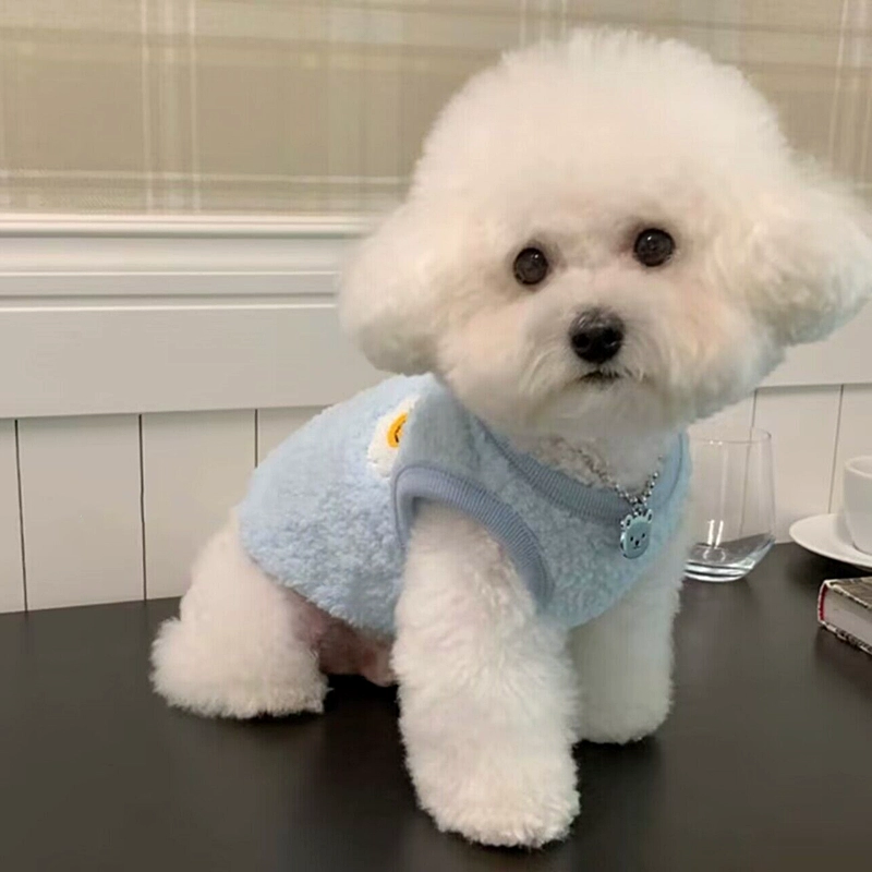 Dog clothes, small puppies, autumn and winter new style, cold resistant fluff