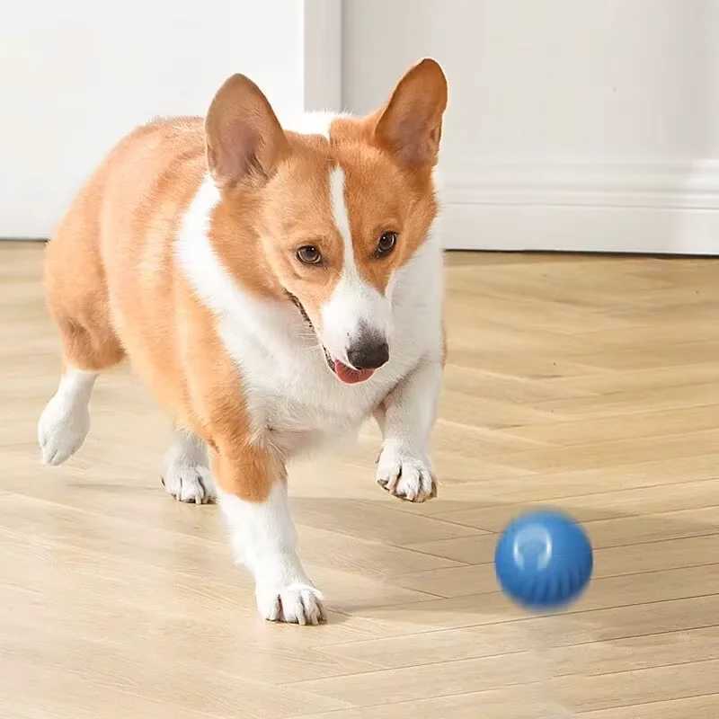 Others Dog Toys Chews Dog Toys Intelligent Gravity Jump Ball Rechargeable Bite-Resistant Rolling Ball Cat And Dog Chase Interactive Pet Toys H250217